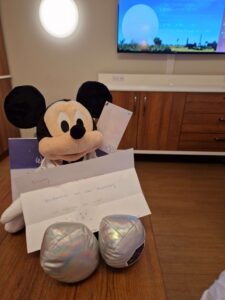 Regalo de Blog Turista Disney